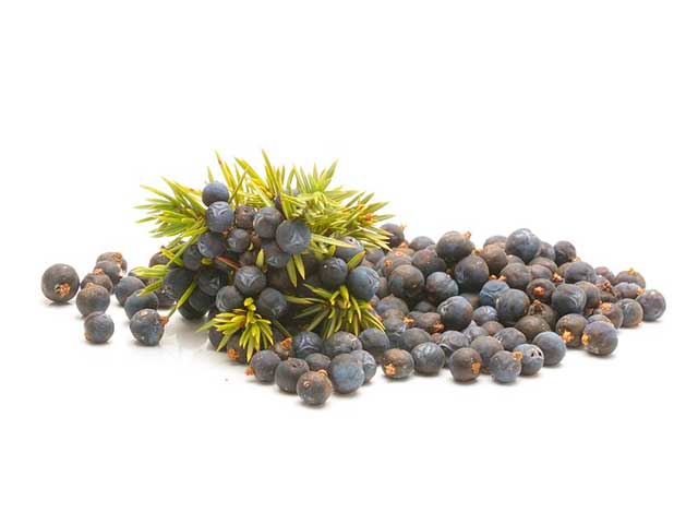 Juniper berries